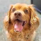 Gio (Georgie)
