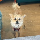 Jerry (Rocko)