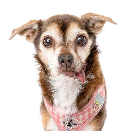 Taylor Frankie Paul (Lola)