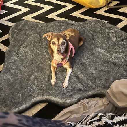 Taylor Frankie Paul (Lola)