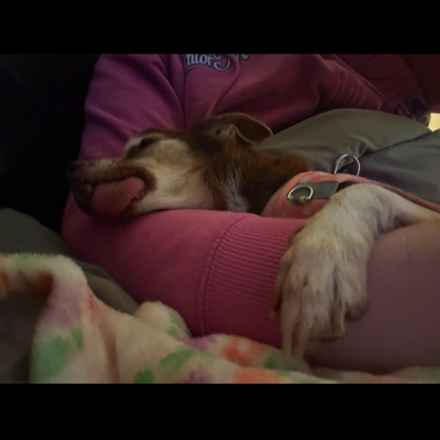 Taylor Frankie Paul (Lola)