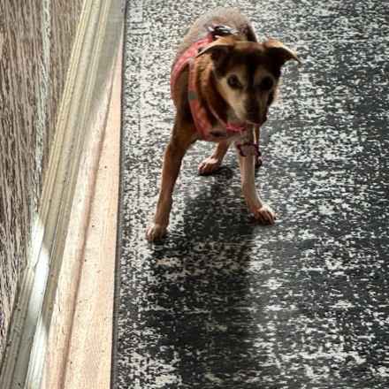 Taylor Frankie Paul (Lola)