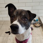 Zoe!