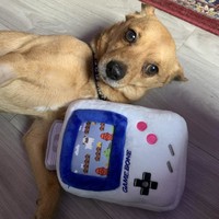 Game Boy