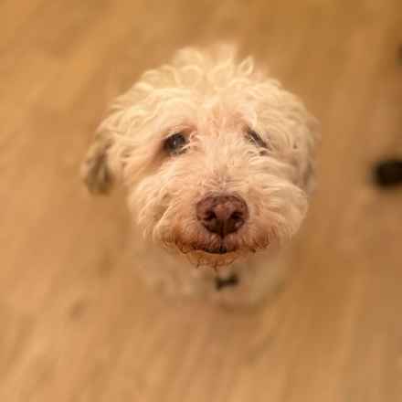 Ker-Plunk (renamed Echo)