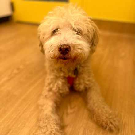 Ker-Plunk (renamed Echo)