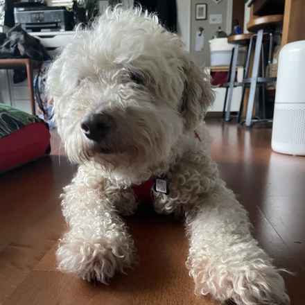 Ker-Plunk (renamed Echo)