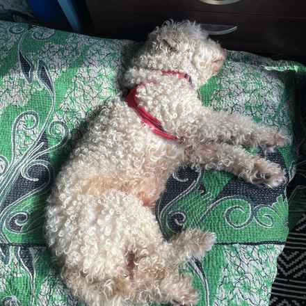 Ker-Plunk (renamed Echo)