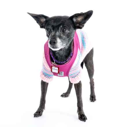 Wintermelon (Sophie)