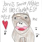 Jarvis
