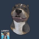 Jarvis
