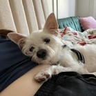 Olaf