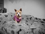 Lupita!
