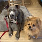 Duchess & Sooki