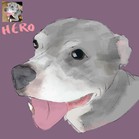 Hero