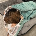 Chewbacca