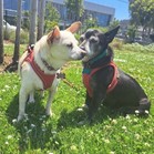 Pepe & Pita