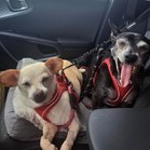 Pepe & Pita