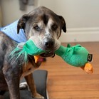 Tyson