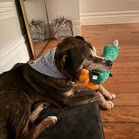 Tyson