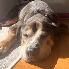 Tyson