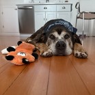 Tyson
