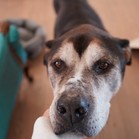 Tyson