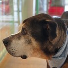 Tyson