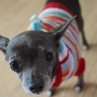 Tiki