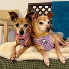 Nancy & Sidney