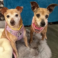 Nancy & Sidney