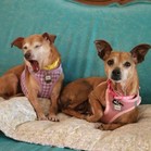 Nancy & Sidney