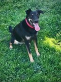 Molly!!