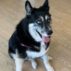 Skylar