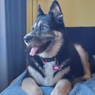 Skylar