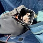 Fannypack