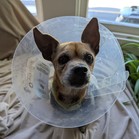 UFO
