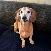 Paco
