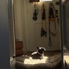 Bossa Nova