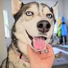 Stella!