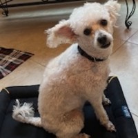Daisy!!