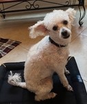 Daisy!!