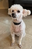 Daisy!!