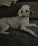 Daisy!!