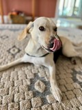 Sasha!