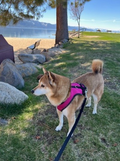 Keisha.