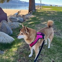 Keisha.