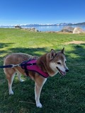 Keisha.