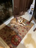 Keisha.