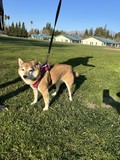 Keisha.